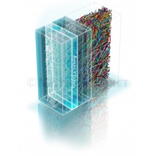 FiberFind