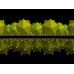 Software Crystal Impact Diamond